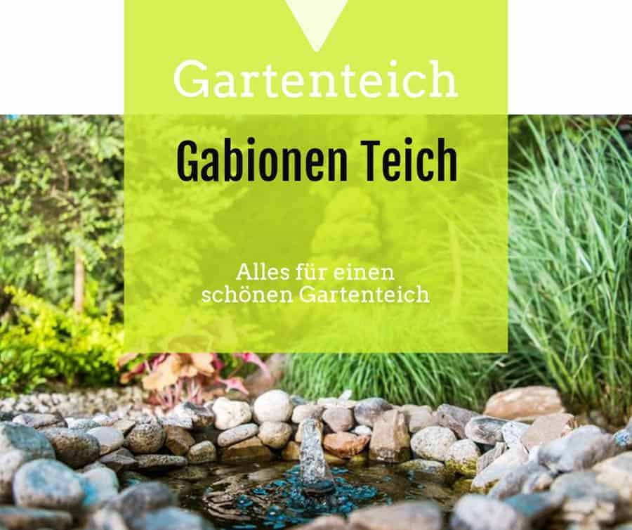Gabionen Teich gartenteichguide.de