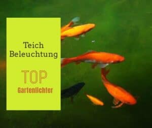 Teichbeleuchtung gartenteichguide.de