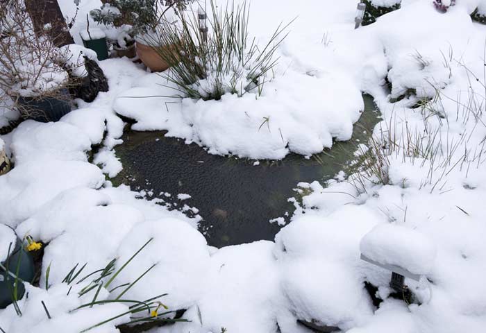 You are currently viewing So wird der Gartenteich winterfest