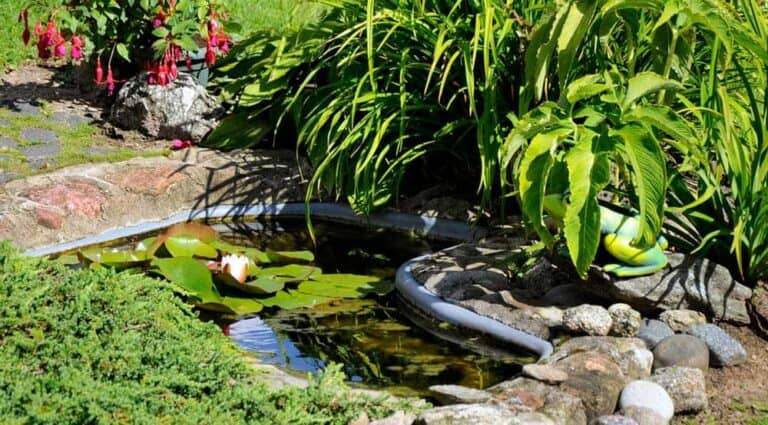 Gartenteichwanne Beste Teichwannen für den Gartenteich gartenteich