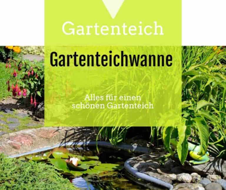 Teichbecken 1000 l Gartenteich mit Fassungsvermögen 1000 Liter