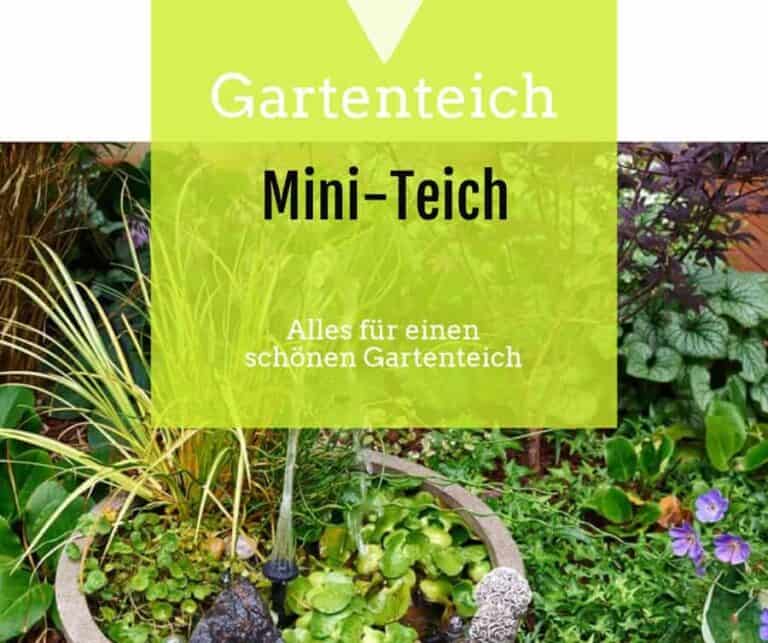 MiniTeich gartenteichguide.de
