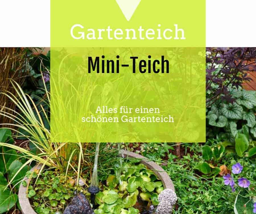 MiniTeich gartenteichguide.de