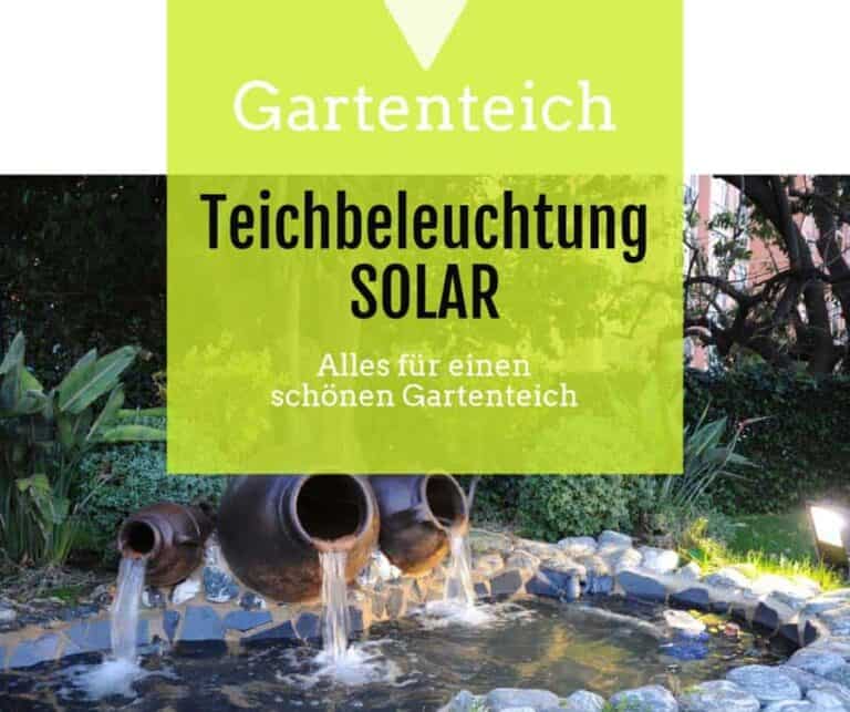 Teichbeleuchtung Solar Beste Solarbeleuchtung für den Gartenteich