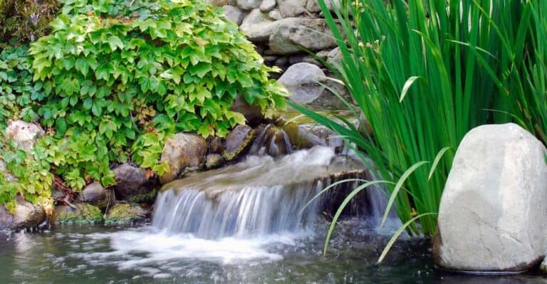 Wasserfall Teich gartenteichguide.de