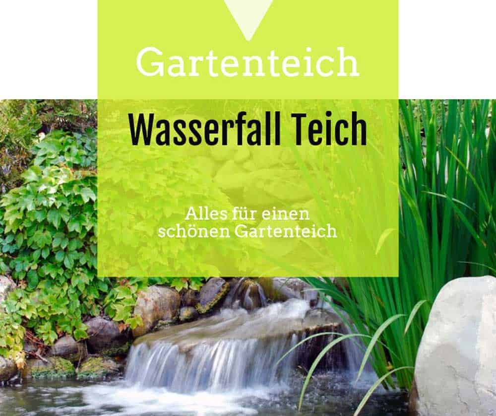 Wasserfall Teich gartenteichguide.de